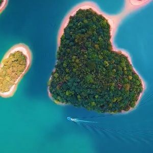 Meet your Posher, Quynh